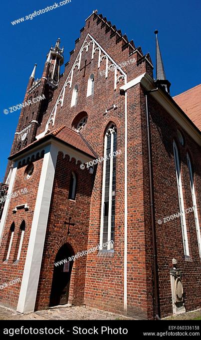 Kirche St. Petri mit Bibelturm im Naturschutzgebiet Wörlitzer Park, Sachsen Anhalt, Deutschland