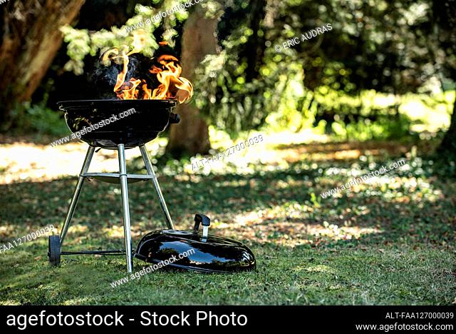 Barbecue grill in garden