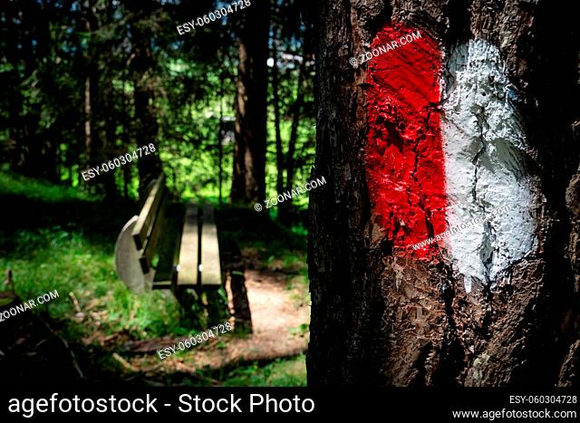 Blurred sunny bench along a forest hiking path in the Austrian Alps with a red white path sign painted on a tree trunk, Mieminger Plateau, Tirol, Austria
