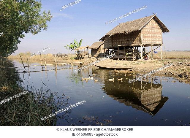 Farm house on stilts, Nyaung Shwe, Inle Lake, Shan State, Myanmar, Burma, Southeast Asia, Asia