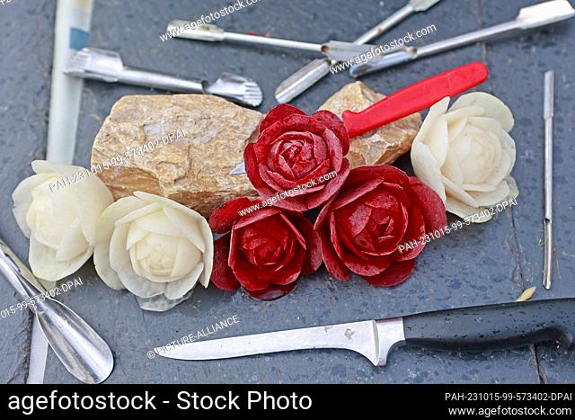 15 October 2023, Saxony-Anhalt, Oschersleben: Arthur Felger from Weißenfels, lecturer in vegetable and fruit carving, carves rose petals from kohlrabi and beet...