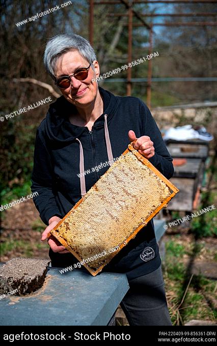04 April 2022, Saarland, Saarbrücken: Beekeeper Susanne Meuser holds a bee frame in her hands. Up to a third of the bee colonies in Saarland and...