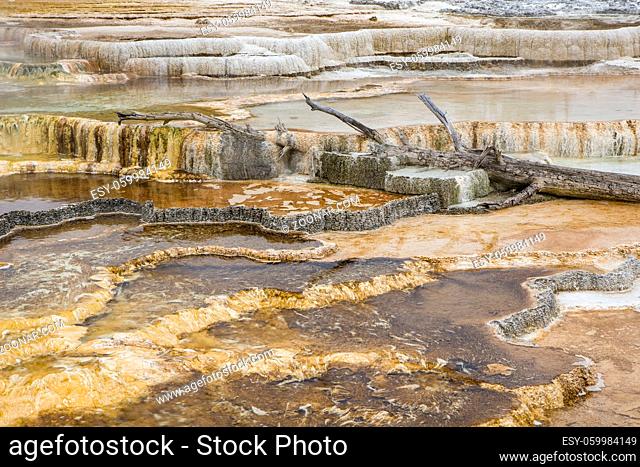 Terraced mineral deposits at Mammoth Hot Springs in Yellowstone National Park