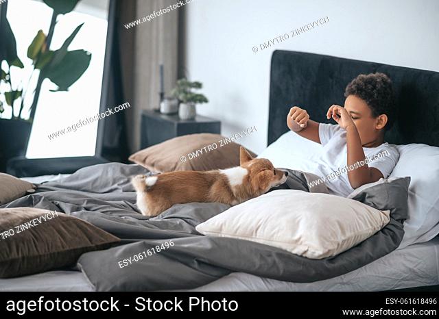 Morning at home. A boy laying in bed and a dog together with him