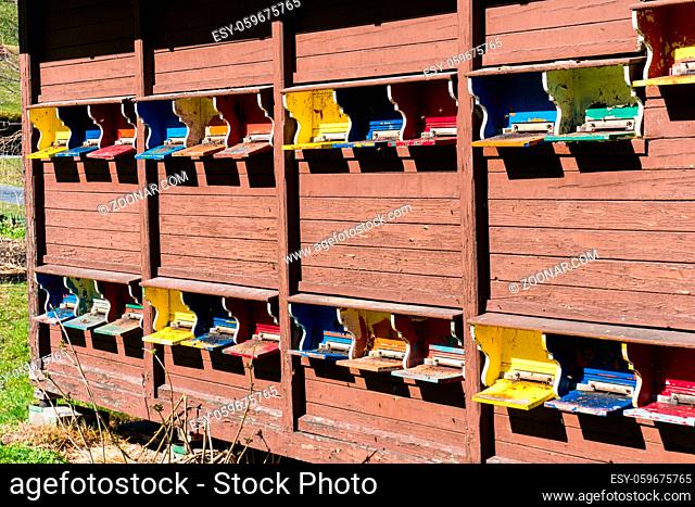 bee hives and entry doors in many colors in a beehive beehouse