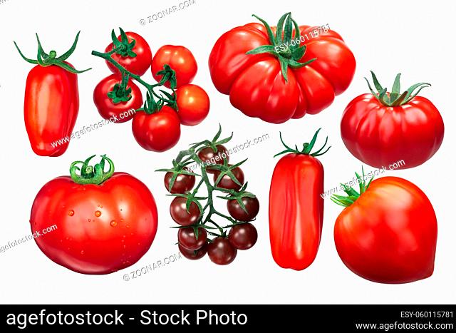 Italian tomatoes: globe, ribbed, elongated, flattened, clusters