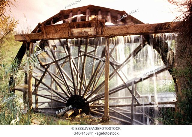 Waterwheel. Cabriel River. Casas del Río. Spain