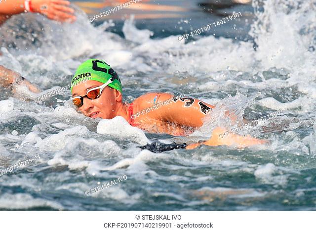 Ceska reprezentantka Alena Benesova na trati 10 km na mistrostvi sveta v plavani v Gwangju. 14.7.2019