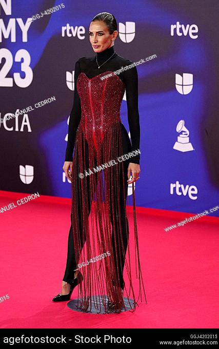 Nieves Alvarez attends the red carpet during the 24th Annual Latin GRAMMY Awards at FIBES on November 16, 2023 in Seville, Spain