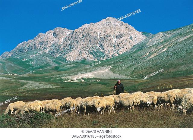 Italy - Abruzzo Region - Gran Sasso National Park - Campo Imperatore - Shepherd