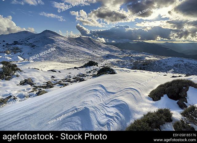 snowfall in the Sierra de las Nieves national park in the Serrania de Ronda in Malaga. Andalusia, Spain