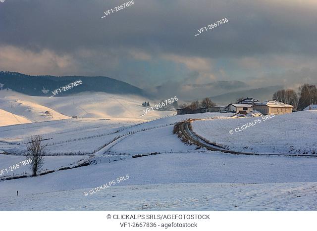 Farmhouses, Altopiano of Asiago, Province of Vicenza, Italy, Europe. Farmhouses in the winter snow and mist