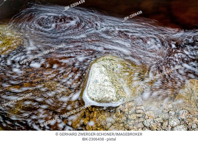 Stream with brown water, coloured by plant tannins, condensed proanthocyanidins, Karamea, Kohaihai, South Island, New Zealand, Oceania