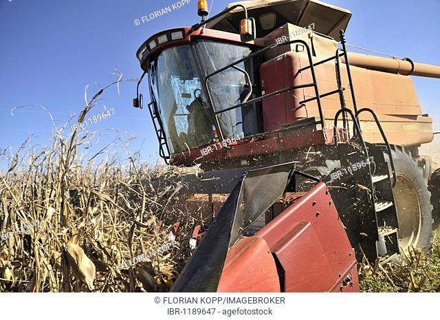 Combine harvester during the corn harvest, Uberlandia, Minas Gerais, Brazil, South America