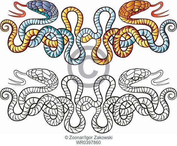 Snakes tattoo design