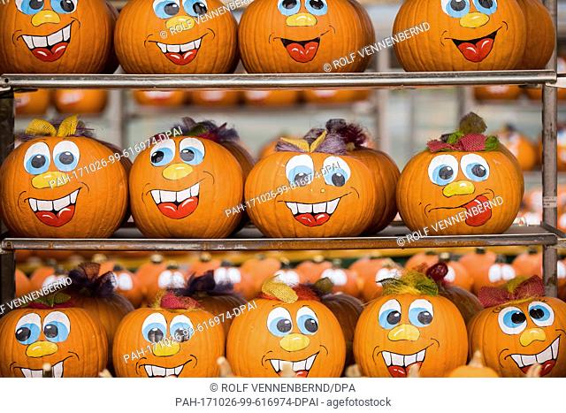 dpatop - Painted pumpkins pictured at Thomas-Haenraets, a pumpkin producer, in Hurth, Germany, 17 October 2017. Whether for cooking, for carving or for painting