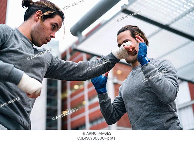 Identical male adult twin boxers training outdoors, practicing punches