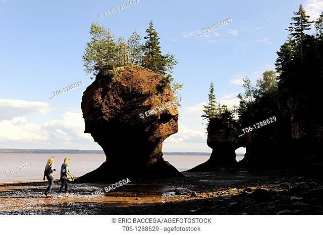Tourists walking near Flowerpot sea stacks with outgoing tide at Hopewell Rocks  The world's highest tides  Bay of Fundy, New Brunswick, Canada