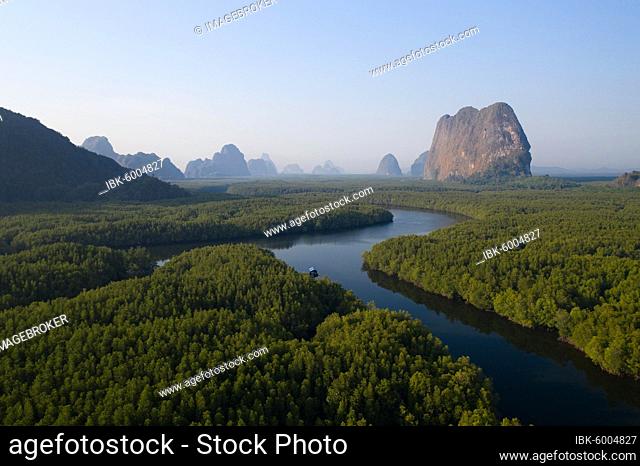 Aerial view, mangrove forest with meandering river and high karst rocks during sunrise, Ao Phang-Nga National Park, Phang-Nga Province, Thailand, Asia