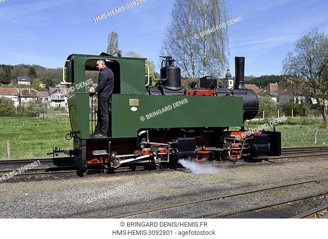 France, Moselle, Abreschviller, hamlet of Grand Soldat, forest railway, tourist train, steam locomotive Mallet 476 of 1906