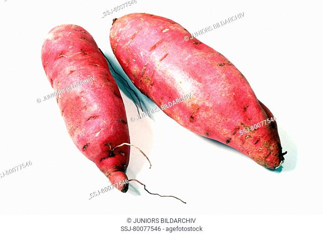 DEU, 2003: Sweet Potato (Ipomoea batatas), studio picture