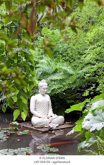Buddha statue in a pond with water lilies and kois at Andre Hellers' Garden, Giardino Botanico, Gardone Riviera, Lake Garda, Lombardy, Italy, Europe