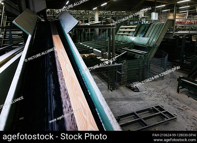 PRODUCTION - 07 June 2021, Baden-Wuerttemberg, Hausach: Boards pass through the cutting line on the premises of a sawmill