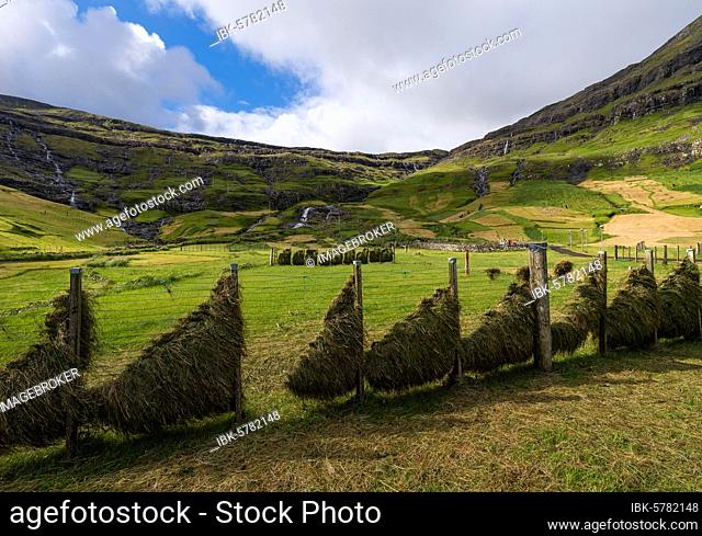 Hay hung to dry, Tjörnuvik or Tjørnuvík, Streymoy, Faroe Islands, Føroyar, Denmark, Europe