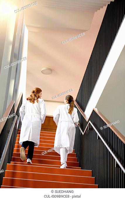 Two female doctors walking up steps, low angle view