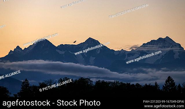 20 September 2023, Switzerland, Bern: A bird of prey flies at sunrise in front of the panorama of the three famous Swiss peaks Eiger (l-r), Mönch and Jungfrau