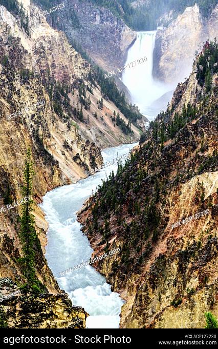 The Yellowstone River flows over the Lower Yellowstone Falls into the Grand Canyon of the Yellowstone. It's in Yellowstone National Park in Wyoming USA