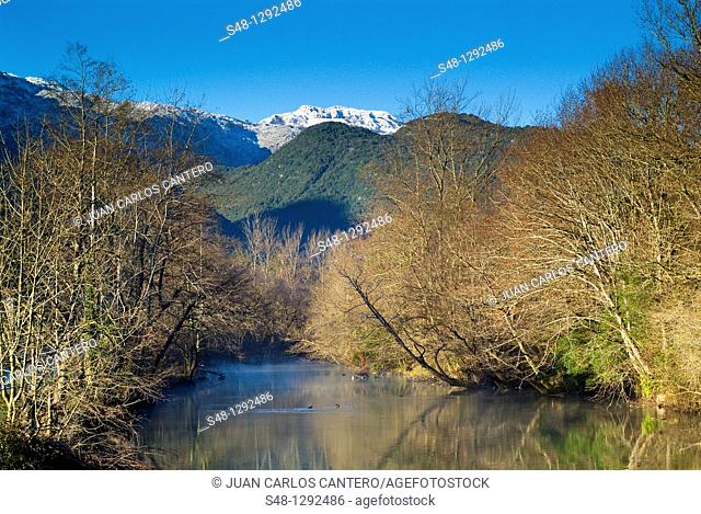Rio Asón en Ramales de la Victoria  Cantabria  España  Europa
