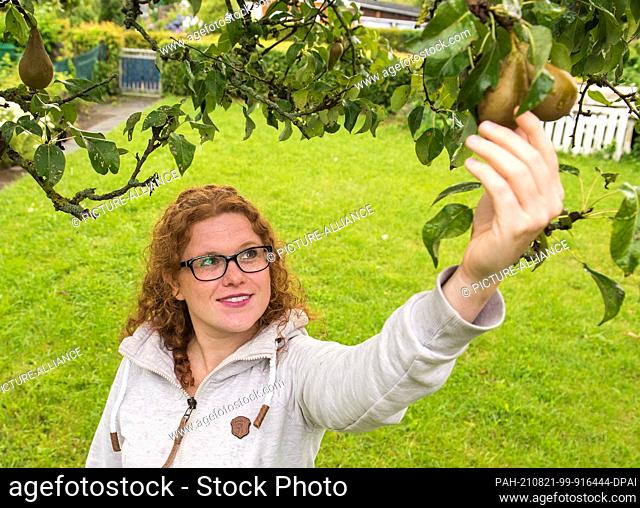 05 August 2021, Schleswig-Holstein, Heide: Laura Mugrauer, allotment gardener, stands by a pear tree in her allotment garden