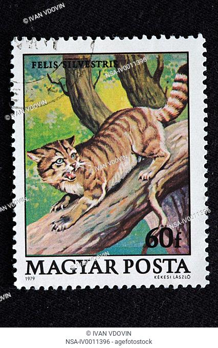 Wild cat Felis silvestris, postage stamp, Hungary, 1979