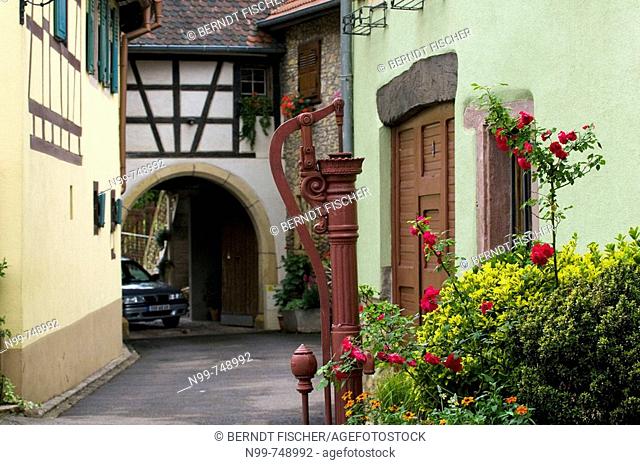Farm of a winemaker, frame house, well and flowerbed, village of Westhalten, Alsace, France