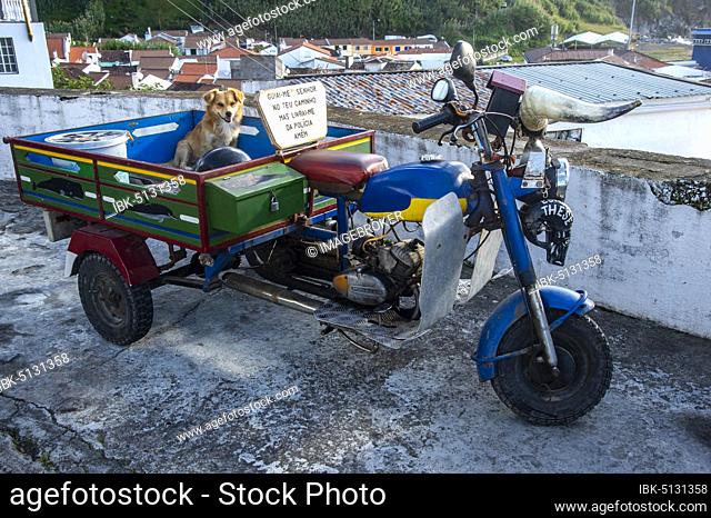 Colorful tricycle with dog on the back of the truck, Povoacao, San Miguel, Azores, Portugal, Europe