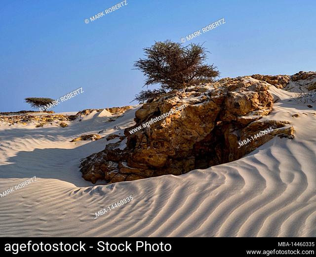 Dunes near Al Khaluf, Oman