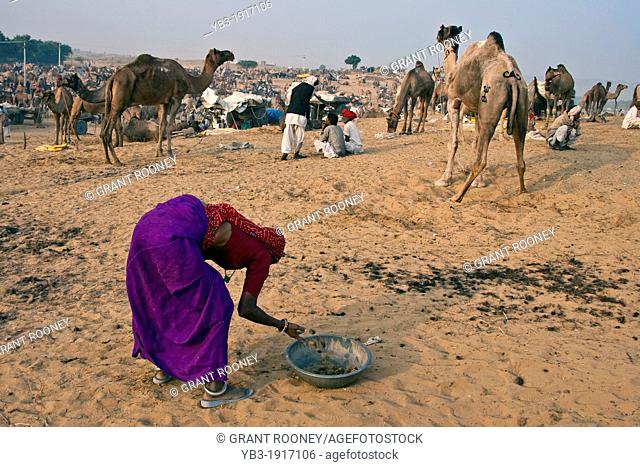 Woman collecting camel dung for use as fuel during The Pushkar Camel Festival, Rajasthan, India
