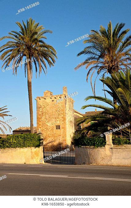 Are Catlar, Campos del puerto, Majorca, Balearic Islands Spain