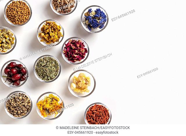 Mullein, horsetail, milk thistle, calendula and other dried herbs in bowls on a white background