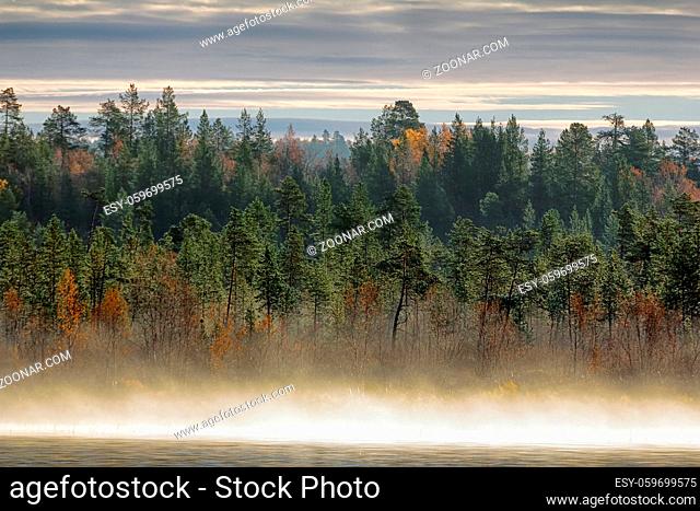Gorgeous autumn landscape with river and misty forest