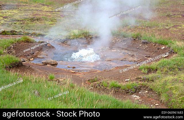 Steamy field with small hot spring in Geysir hot spring area, Iceland