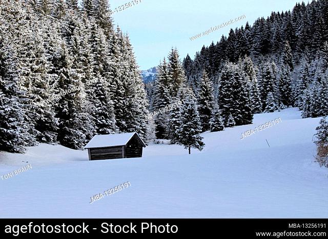 Winter hike near Gerold, near Klais, Europe, Germany, Bavaria, Upper Bavaria, Werdenfels, winter, atmospheric snowy landscape