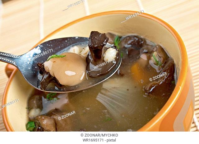 Russian sauerkraut soup with mushrooms