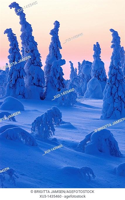 Winter landscape. Scandinavia