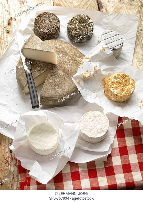 Various types of cheese from Normandy