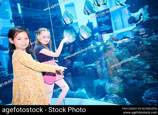 01 June 2022, Berlin: Children's models Mona (l) and Vasia stand in the elevator of the AquaDom in SEA LIFE while a diver swims by