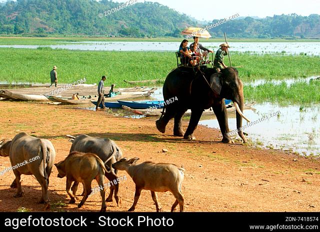BUON ME THUOT- VIET NAM- JUNE 11: Asia travel in summer vacation at beautiful Vietnamese countryside, traveler travelling by ride elephant in eco tour