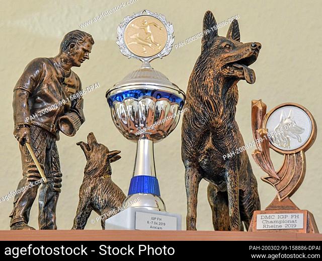 27 February 2020, Brandenburg, Wriezen: Various awards and trophies can be found on a shelf at the home of dog sports friend Günter Hytra