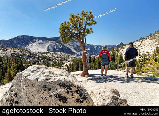 View from Olmsted Point to Half Dome, Yosemite National Park, California, United States, USA